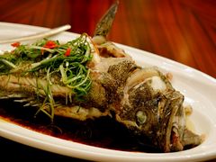 -汕头龙光喜来登酒店-采悦轩中餐厅