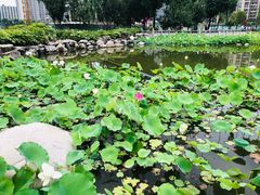 -木塔寺遗址生态公园