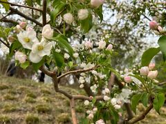 -元大都城垣遗址公园