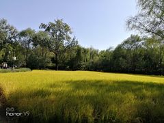 -北坞公园