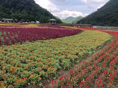 -广州市石门国家森林公园