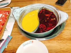 -青瓷火锅料理(西单大悦城店)