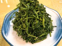 清香枸杞苗-国强手抓(北京西路店)