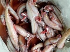 -沙田台山海鲜·酣客酒窖