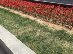 -燕郊植物园
