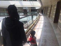 -上海滴水湖皇冠假日酒店