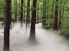 -北京植物园南门售票处