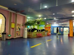 -DoDo梦想城(泉舜购物中心店)