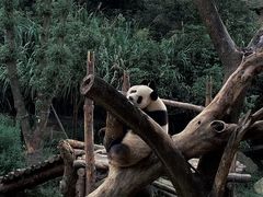 -宁波野生动物园
