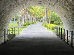 -亚龙湾国际玫瑰谷