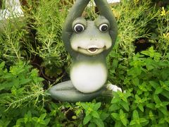 -南山植物园
