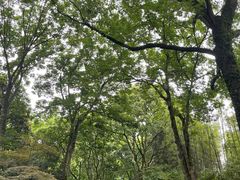 -杭州植物园