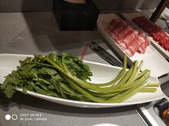 -海底捞火锅(公益西桥店)