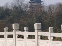 -重庆园博园
