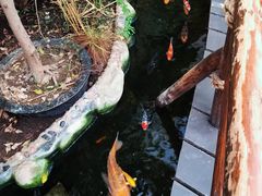 -上海大自然野生昆虫馆(东方明珠·爬宠昆虫探索中心)