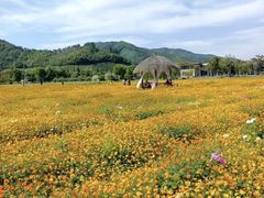 -径山花海