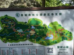 -西双版纳原始森林公园