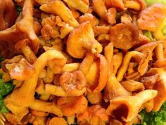 易门丛山野生菌府-易门野生菌府·菌海森林(月牙潭公园店)