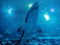 -成都浩海立方海洋公园