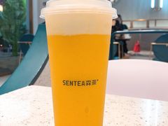 -森茶(湛江万达店)