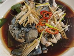 -煲来饱去冷水鱼