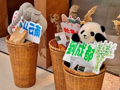 -一善菌·云南菌汤·云南菜(银泰城店)