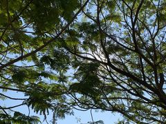 -白沙门生态公园