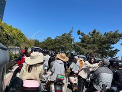 -养马岛旅游度假区