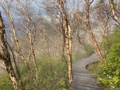 -白草畔自然风景区