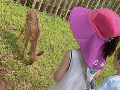 -白鹿原影视城