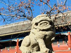 -北京石刻艺术博物馆(五塔寺)