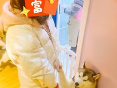 -Husky Go! 哈士奇体验馆·宠物咖啡厅狗咖