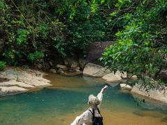 -广州白江湖森林公园