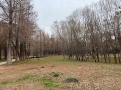 -长广溪湿地公园