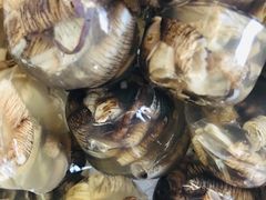 土笋冻-铭聚章鱼土笋冻(松柏店)