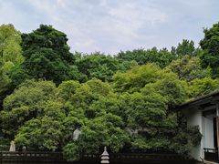 -杭州植物园