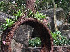 -亚龙湾热带天堂森林公园