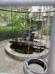 -萌宠亲子动物乐园(槐房万达店)