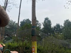 -合肥滨湖国家森林公园