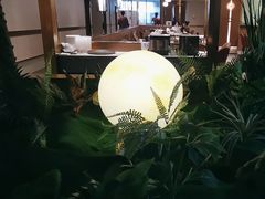 -宏宴·新京菜(望京店)