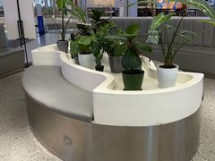 -茶芭蕾·新疆酸奶(美美1店)