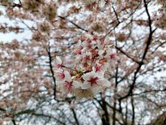 -小小班私人影院·猫咖(万达茂广场店)