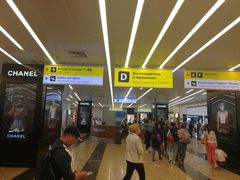 -谢列梅捷沃国际机场