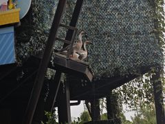 -长鹿旅游休博园