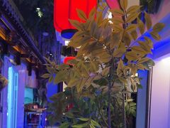 -庭院江南菜•烤鸭•非遗传承(丰台总部基地店)