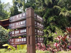 -野象谷景区