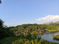 -重庆园博园