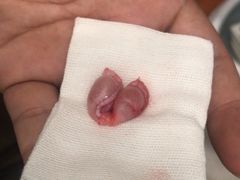 -佳雯宠物医院(四明中路分院)