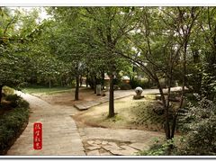 -西安青龙寺遗址景区