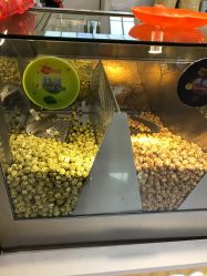 -爆米花儿童美发乐园(中街恒隆店)